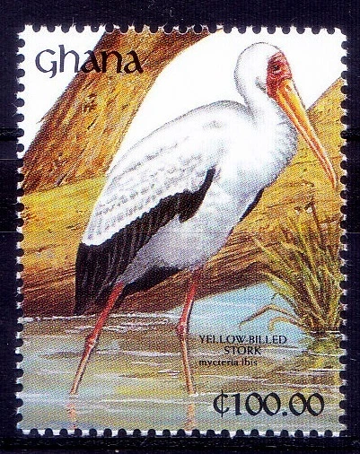 Ghana 1991 MNH, cigüeña amarilla facturada, aves acuáticas   Foto 1 de 1