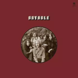 BRYNDLE BRYNDLE NEW LP - Picture 1 of 1