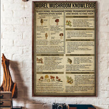 Morel Mushroom Knowledge Mush Hunting Mushroom Hunter Poster