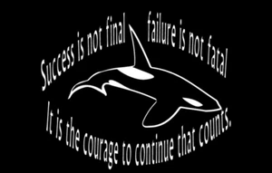 Calcomanía de ventana de orca, arte inspirador de animales marinos de orca, orca 🐋  - Imagen 1 de 2