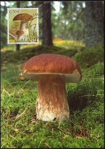 Mushroom Aland King Bolete Aland Finland Mint FDC Maxi Card 2003 - Picture 1 of 1