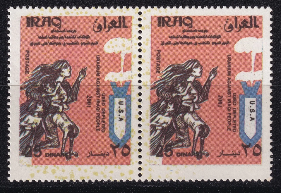 IRAK 2001, 10º aniversario del compromiso estadounidense de municiones con asa Foto 1 de 1