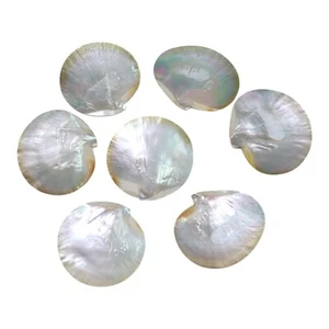 Vintage Mother of Pearl Shell Trinket Caviar Footed Dishes Heirloom LOT Of 7 - Picture 1 of 23