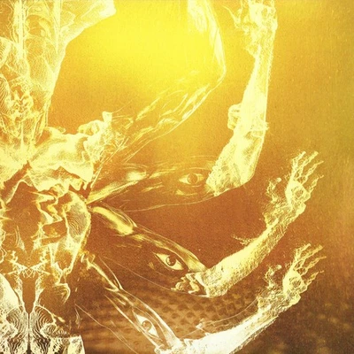 Tool - Fear Inoculum-2022 (M/[M) - "Vinyl Record" - Bild 1 von 4