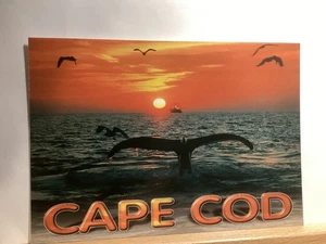 Humpback Whale Tail, Provincetown: Cape Cod, MA - Vintage Postcard - Picture 1 of 3