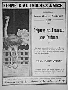 PUBLICITÉ PRESSE 1913 FERME D'AUTRUCHES DE NICE PLUME POUR CHAPEAUX - RAYON E. - Picture 1 of 1