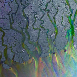 alt-J - An Awesome Wave - Used CD - V6244z - Picture 1 of 1