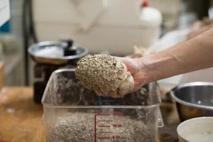 Bio Dinkelkeimbrot mit Sonnenblumenkernen 500 g geschnitten - Bild 1 von 3