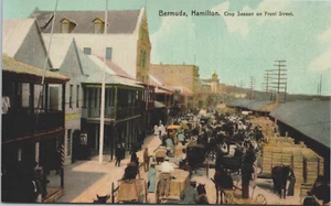 Bermuda Hamilton Ernte Saison auf Front Street Vintage Postkarte C279 - Bild 1 von 2