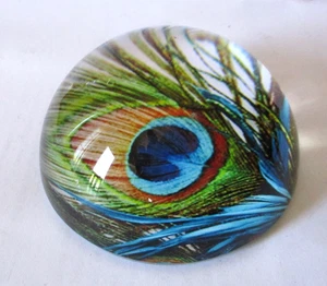 Round Glass Millefiori Style Peacock Feather Standing Paperweight 3D 3" - Picture 1 of 3