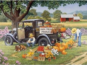 Bits and Pieces - John Sloane - Home Grown  - Jigsaw Puzzle 1000 pieces 