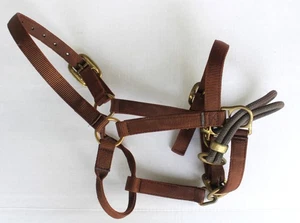 Monty Roberts offizielles doppeltes Trainingshalfter - volle Größe - braun - Bild 1 von 7