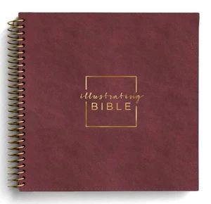 CSB Illustrating Bible Cranberry - Picture 1 of 1