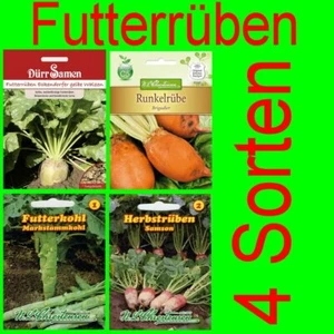 Futterrübe Runkelrübe Futterkohl Futterrübensamen gelb rote Walzen Futtermöhre - Bild 1 von 22