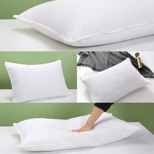 Doppelnähte mit selbstrohriger Mikrofaserabdeckung Ente Feder Füllkissen - Bild 1 von 9