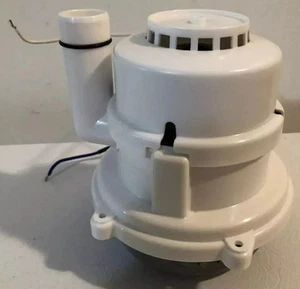 Motor limpiador profundo portátil con cable Bissell 2513G Little Green ProHeat SOLO - Imagen 1 de 1