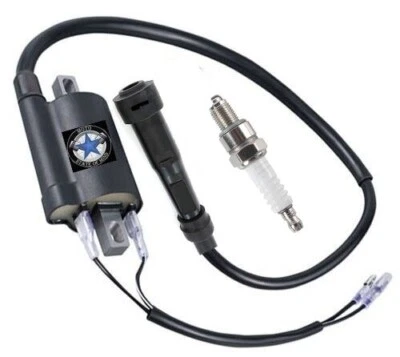 Bobina de encendido bujía PARA CAN AM Can-Am Rally 175 200 2X4 4x4 Foto 1 de 4