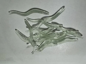 Bloodworm Course Bait  25 Per Pack Flavour Infused Carp, Tench, Glow In Dark - Picture 1 of 4