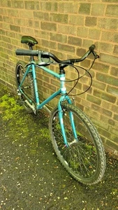 Raleigh Peak 1992 Retro Mountain Bike Reynolds Steel - Picture 1 of 6
