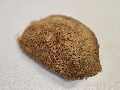 NICE USED ORIGINAL GENUINE PORSCHE 356A SHIFT COUPLER COVER PADDED INSULATION #1 - Image 1 of 4