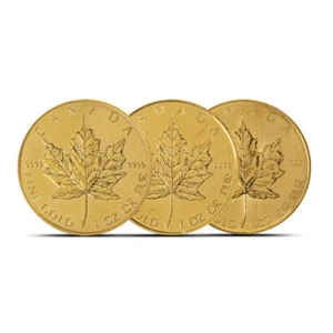 1 oz Gold Maple Leaf Coin (Random Year, Abrasions, Scruffy) - Picture 1 of 4