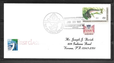 1993 TIP UP TOWN USA FESTIVAL Pictorial Cancel Cover, HOUGHTON, MICHIGAN - Image 1 of 2