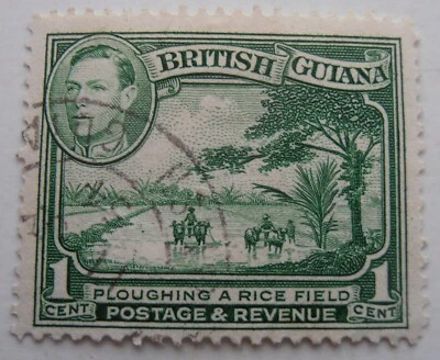 BRITISH GUIANA STAMP 1 CENT GREEN. 1938 - Image 1 of 2