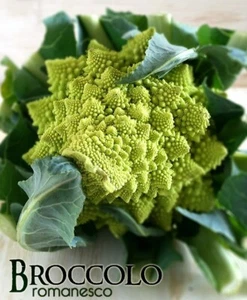 CAVOLO BROCCOLO ROMANESCO NATALINO PRECOCE gia'CAVOLFIORE ROMANESCO 500 semi - Foto 1 di 5