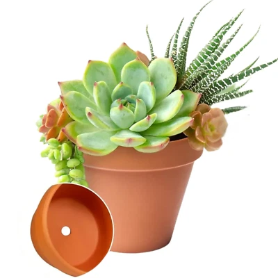 GREEN THUMBZ 16 Small Terracotta Plant Pots Succulents Gardens Pots, Flowers, Seed Starter