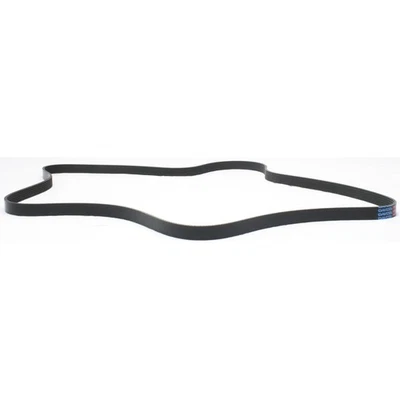 Correa de transmisión Dayco 5060795 para camioneta F150 Mack CV Ford F-150 Saturn L300 LW300 9-5 Foto 1 de 4