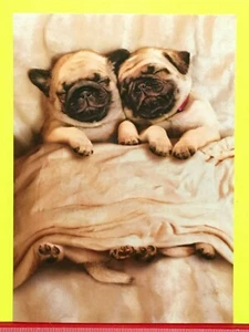 "AVANTI ~ ""KUSCHELN GESCHLOSSEN!" HAPPY VALENTINSTAG KARTENMOPS HUNDE SEHR SÜSS - Bild 1 von 6
