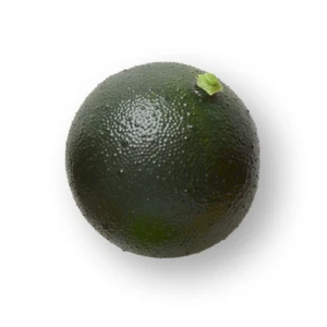 Künstliche Früchte 60 mm 'Green Lime' Heimdekoration Kunstfrüchte 2er Pack - Bild 1 von 1