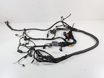 Harley-Davidson Dyna Street Bob 2006 FXDBI arnés de cableado telar - leer 69602-06 Foto 1 de 4