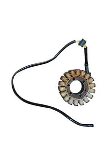 Original Ducati Scrambler 800 Icon Stator Magnet 2023 2024 2025 With 8546 Km - Picture 1 of 18