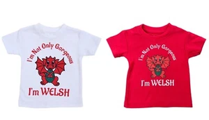 Wales Red White Baby T Shirts Not Only Gorgeous I'm Welsh UK Seller - Picture 1 of 5