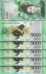 VENEZUELA 5000 BOLIVARES 2017 UNC AUFEINANDERFOLGEND 5 STCK. SET P NEU - Bild 1 von 5