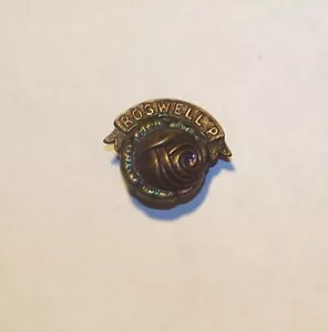 DE COLECCIÓN ROSWELL PARK NUEVO MÉXICO? INSIGNIA DE SOLAPA FIGURATIVA ROSA DEL DESIERTO - Imagen 1 de 2