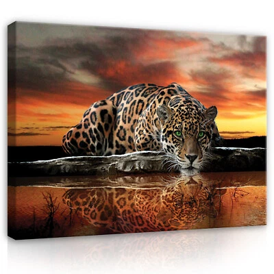 TIGER TIERE NATUR Leinwandbild Groß Wandbilder Leinwand Bilder Canvas Wandbild - Bild 1 von 4