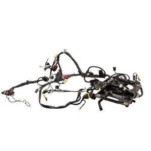 2016 - 2019 DUCATI PANIGALE 959 MAIN HARNESS WIRE LOOM *DAMAGED/FOR PARTS* - Picture 1 of 20