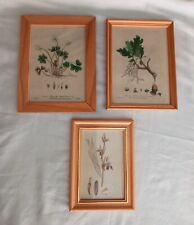 Baxter Antique Botanical Flower Prints Set Of 3 Wood Frames Oak Orchid Sorrel