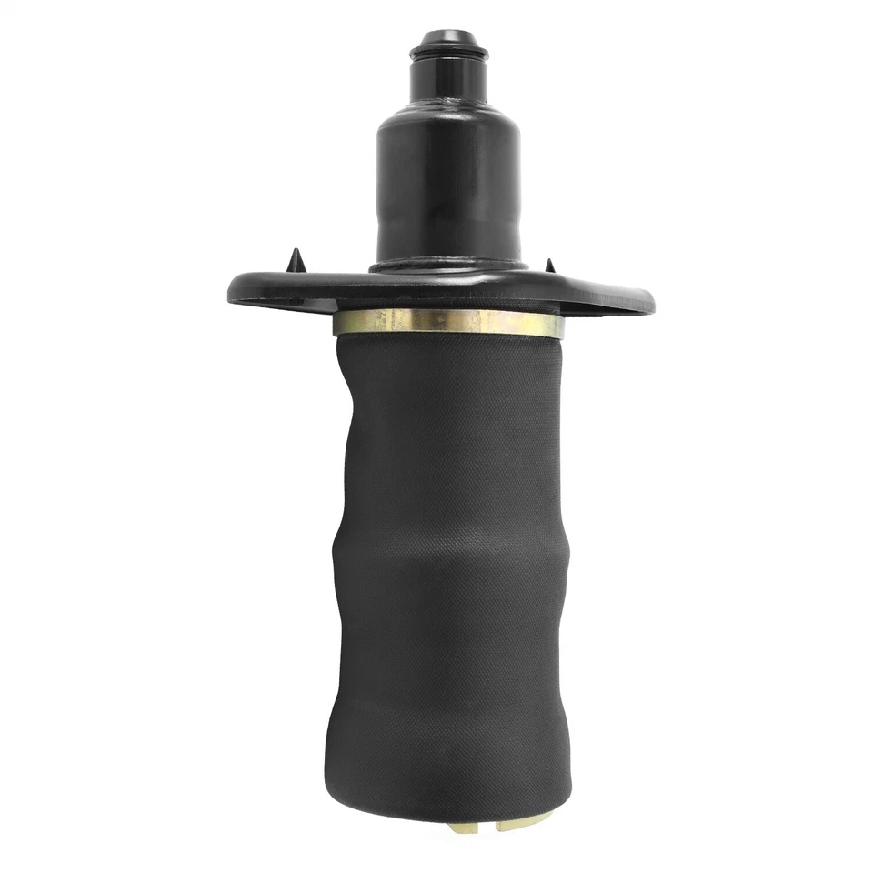 Resorte neumático de suspensión para Audi Allroad Quattro A6 Quattro A6 2001-2005 Quatt Foto 1 de 1