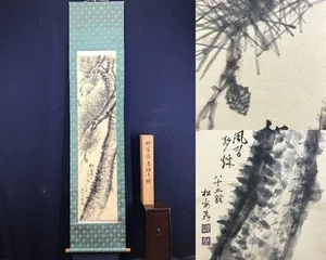Japanese Scroll by Matsumori Yasutaro – Bold Pine Tree Ink Painting w/ Box 194cm - Picture 1 of 10