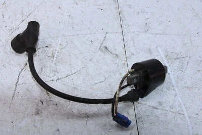 Bobina de encendido Arctic Cat Procross Xf800 Sno Pro 07-17 3007-548 Foto 1 de 4