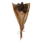 Pine Cones on Picks/Sticks 50cm Christmas Decorations Pack of 12 in 4 Colours