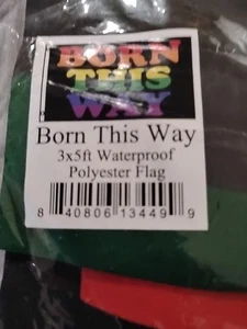 Born This Way Flag 3x5ft LGBTQIA LGBT Gay Pride Lady Gaga Rainbow Pride Flag - Picture 1 of 3