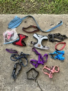 Lote de 17 collares y arneses para perros, nuevos y usados  - Imagen 1 de 3