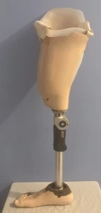 Otto Bock Ottobock 3R90 Prosthetic Knee Foot Entire Right Leg - Picture 1 of 24