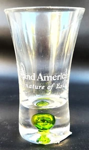 Holland America Line Souvenir Burbuja Verde Cordial Shot Glass (NUEVO OTRO) - Imagen 1 de 3