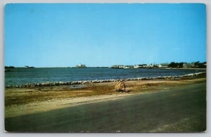Along North Carolina 's Outer Banks Silver Lake OBX Postcard - Picture 1 of 2