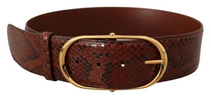 DOLCE & GABBANA Belt Brown Exotic Leather Gold Oval Buckle s.75cm / 30in $600 - Picture 1 of 8
